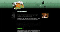 Desktop Screenshot of nabaste.suchaloz.cz